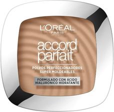 L'Oreal Make Up Podkład Pod Makijaż Puder Accord Parfait Nº 5.D 9 G