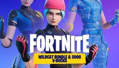 Fortnite - Wildcat Bundle + 2000 V-Bucks (Gra NS Digital)