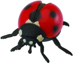 Zdjęcie Collecta Biedronka (88474) - Szczecin