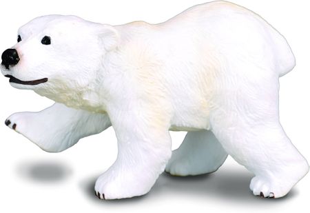 Collecta Zwierzęta dzikie Młody Niedźwiedź Polarny Idący