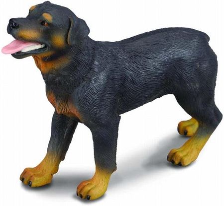 Collecta Zwierzęta domowe Pies Rasy Rottweiler (88189)