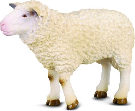 Collecta Farma Owca (88008)