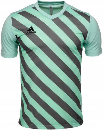 adidas Teamwear Koszulka Dla Dzieci Entrada 22 Graphic Jersey Miętowo Szara Hf0127