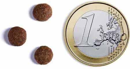 Ambrosia Świeży Indyk I Kurczak Karma Sucha Dla Kota 1,5Kg - zdjęcie 5