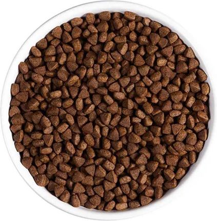 Ambrosia Świeży Indyk I Kurczak Karma Sucha Dla Kota 1,5Kg - zdjęcie 2
