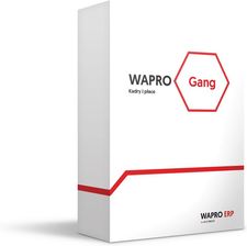 WAPRO Gang 365 BIURO PLUS 200  Cena Specjalna