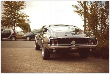 ZeSmakiem Tapeta Na Wymiar Vintage Foto Ford Mustang
