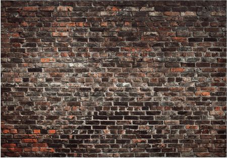 Wallarena Cegły 3D Mur Stara Ściana 416x254