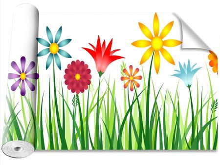 Coloray Kwiaty Trawa 416x254