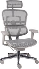 Fotel biurowy Ergohuman 2 Basic GS Grey
