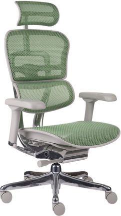Fotel biurowy Ergohuman 2 Elite GS Green