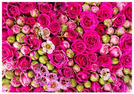 Printedwall 3D Róże Kwiaty 208x146 F00257