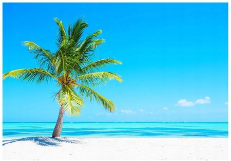 Printedwall 3D Karaiby Plaża Ocean 208x146 F00555