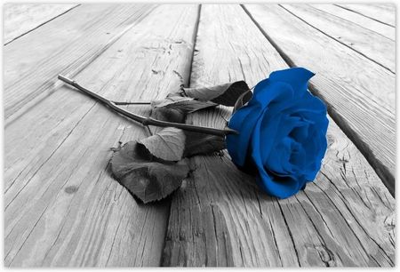 ZeSmakiem 104x70 Niebieska Róża Na Deskach