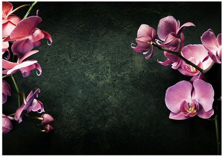 Printedwall 3D Orchidea Kwiat Spa 254x184 F00768