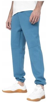Spodnie dresowe Joggery niebieski 4FSS23-TTROM137