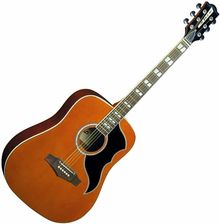 Eko guitars Ranger VI VR EQ