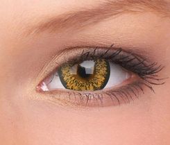 Maxvue Vision Colourvue Bigeyes Monthly Baby Brown -1,00 1szt.