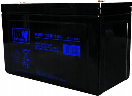 Mw Power Agm Mwp 100-12H 12V 100Ah Mwp100A Mwp100 (MWP10012H)