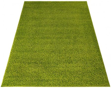 Zielony kwadratowy dywan Delli 00.7388 green 120x120