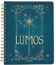 Harry Potter: Spells And Potions 12-Month Undated Planner - Literatura ...