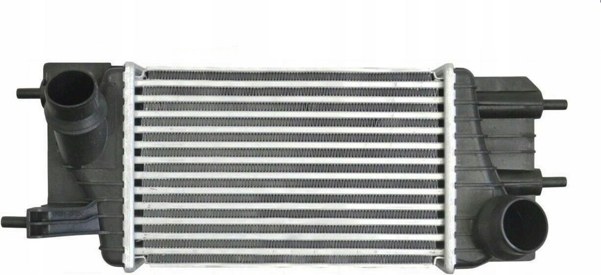 Srline Intercooler Juke Pulsar Nv200 Evalia 15 Dci 13 Opinie i ceny