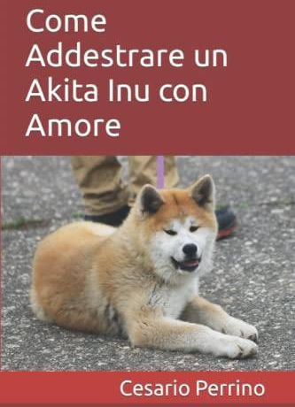 Come Addestrare Un Akita Inu Con Amore: Un Nuovo Metodo Per Far Sì Che ...