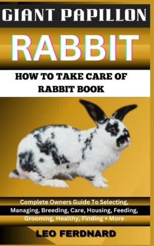 GIANT PAPILLON RABBIT. HOW TO TAKE CARE OF RABBIT BOOK: The Acquisition ...