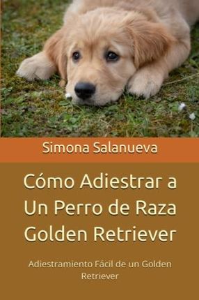 Cómo Adiestrar a Un Perro de Raza Golden Retriever: Adiestramiento Fácil de un Golden Retriever