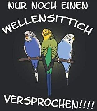 Nur noch einen Wellensittich Versprochen!!!! Sittich Vogel