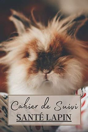 Carnet De Santé Lapin: Carnet de suivi médical pour lapin à remplir. fiches  de soins pour s'occuper de sa santé et le comprendre. Notez les vaccins, l  - Literatura obcojęzyczna - Ceny