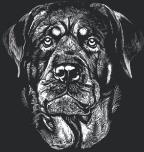 Perro rottweiler: Cuaderno rayado formato a5 (6x9) - Literatura ...