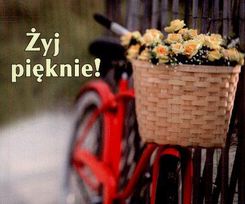 Zdjęcie Perełka 109 - Żyj pięknie w.2011 - Tomaszów Lubelski