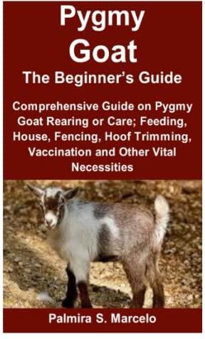 Pygmy Goat The Beginner’s Guide: Comprehensive Guide On Pygmy Goat ...