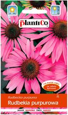 Zdjęcie PlantiCo Rudbekia purpurowa 0,5g - Krapkowice