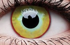 Maxvue Vision Colourvue Crazy Yellow Plague -0,00 8,6 1szt.