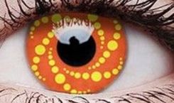 Maxvue Vision Colourvue Crazy Energy -0,00 8,6 1szt.