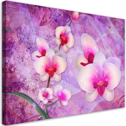 Feeby Obraz Na Płótnie Orchidea Kwiaty Abstrakcja 120X80 703831