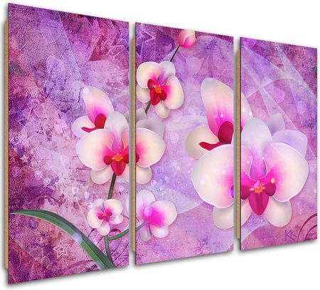Feeby Obraz Trzyczęściowy Deco Panel Orchidea Kwiaty Abstrakcja 120X80 703832