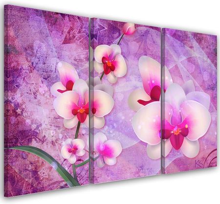 Feeby Obraz Trzyczęściowy Na Płótnie Orchidea Kwiaty Abstrakcja 120X80 703835