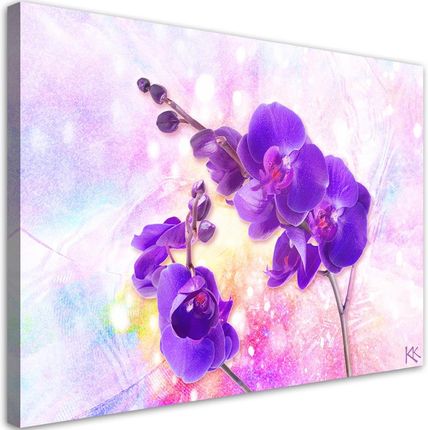 Feeby Obraz Na Płótnie Fioletowy Kwiat Orchidei 120X80 703838