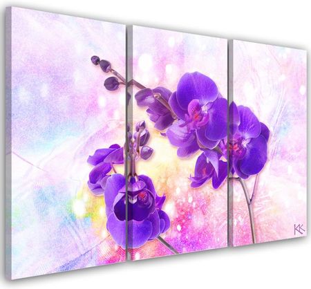 Feeby Obraz Trzyczęściowy Na Płótnie Fioletowy Kwiat Orchidei 150X100 703841