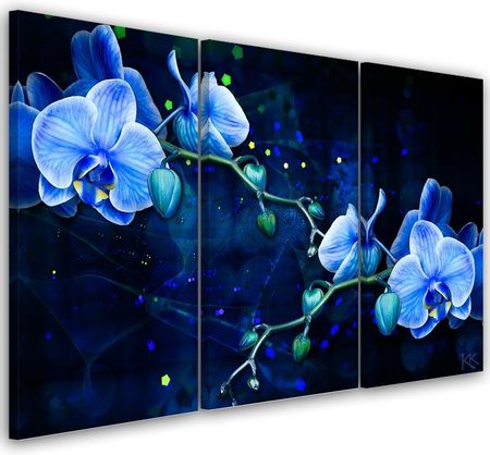 Feeby Obraz Trzyczęściowy Na Płótnie Niebieski Kwiat Orchidei 150X100 703869