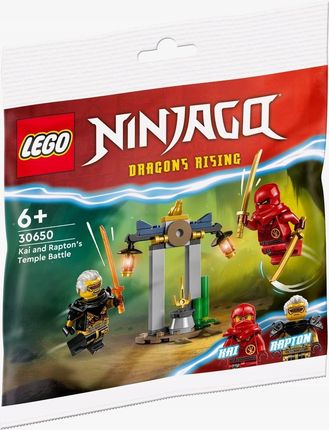 LEGO Ninjago 30650 Bitwa Kaia i Raptona w świątyni