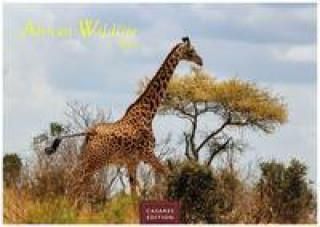 I African Wildlife 2024 L 35x50cm 