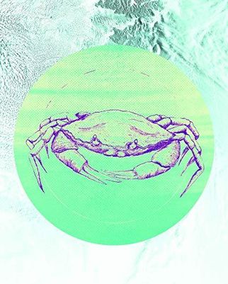 Komar Obraz Ścienny Crab Sea Plakat Obraz Salon Sypialnia Dekoracja Druk Artystyczny Bez Ramy P080C 40X50 40X50 Cm B07Zjgfbmw