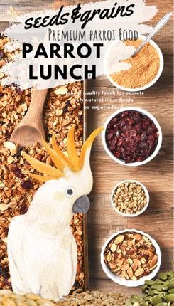 Seeds & Grains Parrot Lunch - Papuzie danie obiadowe lub śniadaniowe na ciepło lub zimno dla wszystkich papug 100g