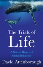 Zdjęcie Trials of Life - Kamieńsk