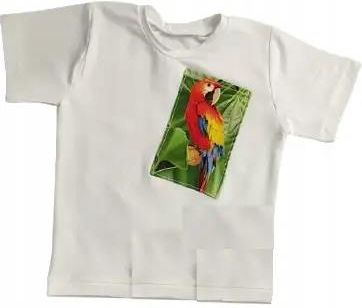 Koszulka Papuga rozmiar 122