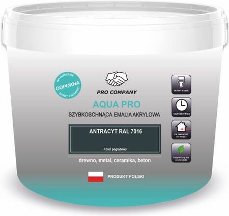 Pro Company Aqua Pro Emalia Szybkoschnąca 10L Grafit